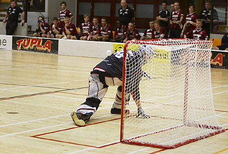 nogoal.jpg