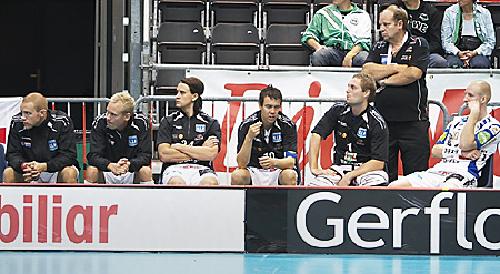 viltti_2.jpg