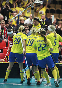 swe_mm_2
